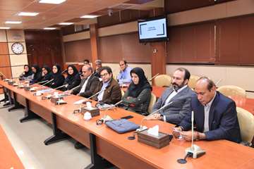 طرح تدوین گزینه های سیاستی حوزه توانبخشی مربوط به افراد دارای ناتوانی جسمی